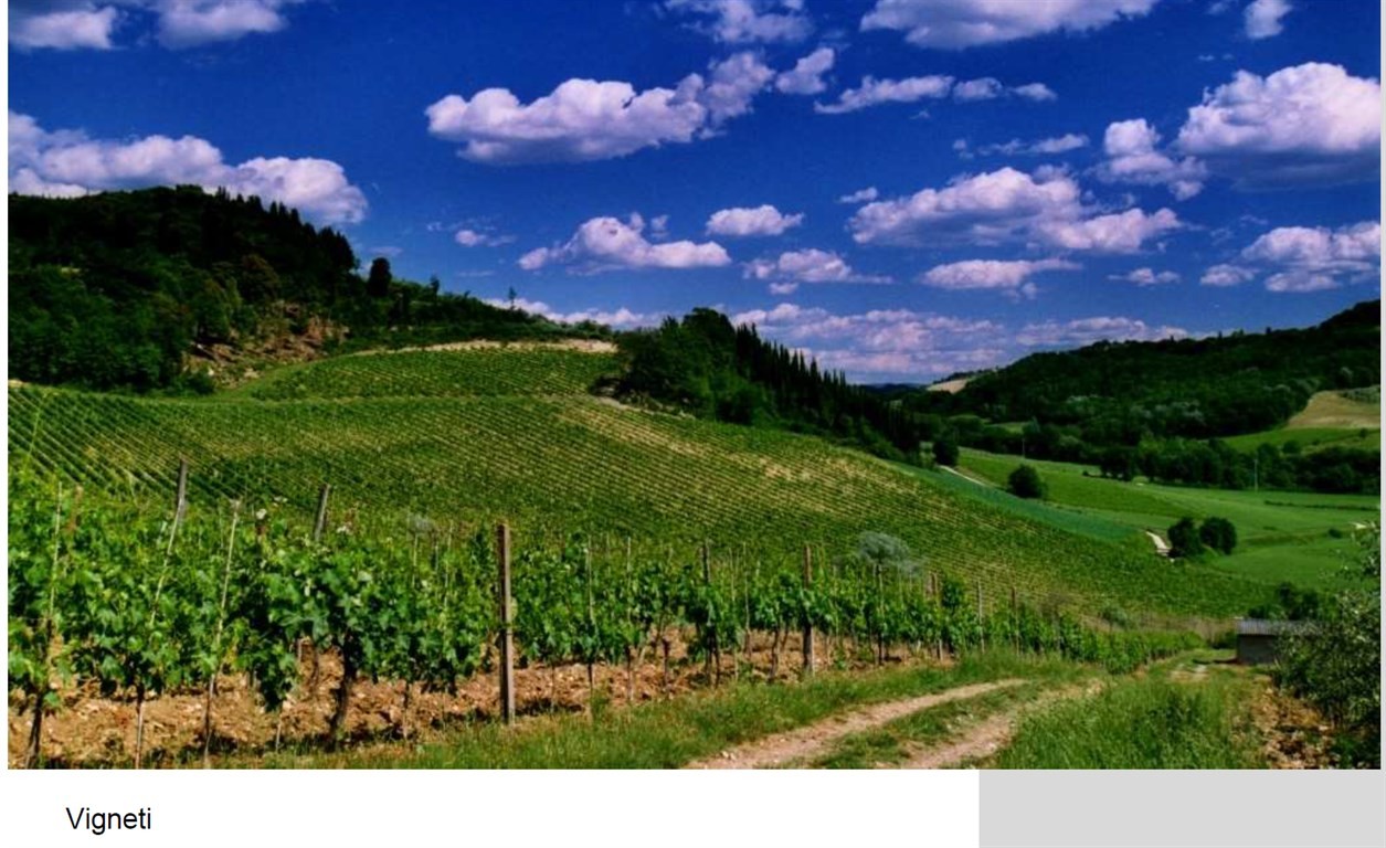 VENDESI CASALE RUSTICO CON TORRETTA CON TERRENO AGRICOLO CON PROGETTO DI AZIENDA IN MURATURA SU TERRENO FABBRICABILE